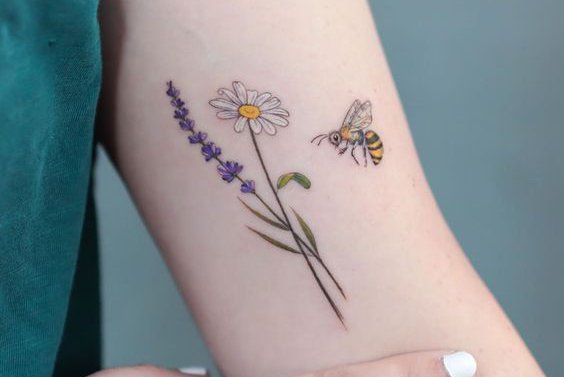 Tattoo Skizzen Kamille (Gänseblümchen)