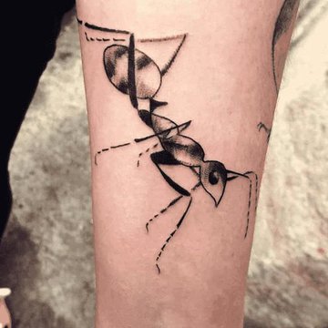 Tattoo-Skizzen “Ameise”