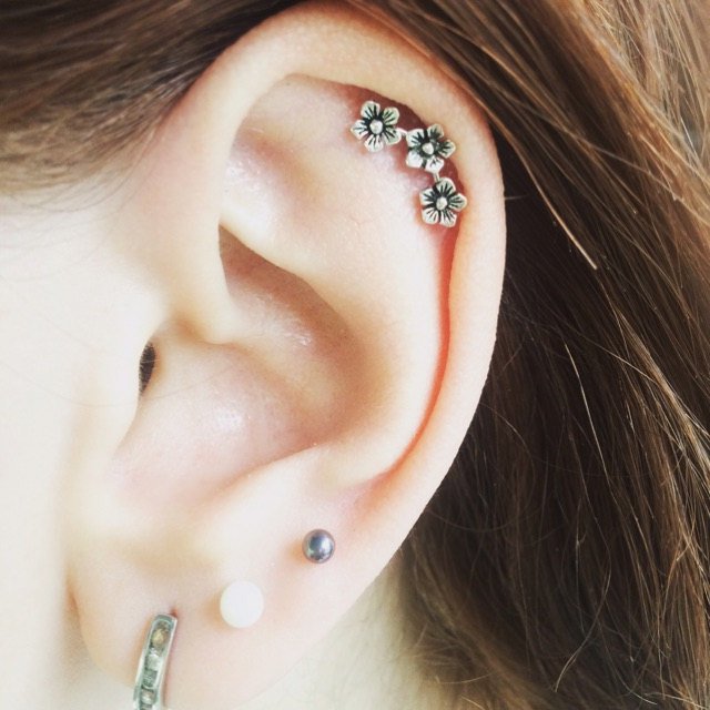 Ohrknorpel piercing Welches Ohr Piercing ist das schmerzhafteste VeAn Germany