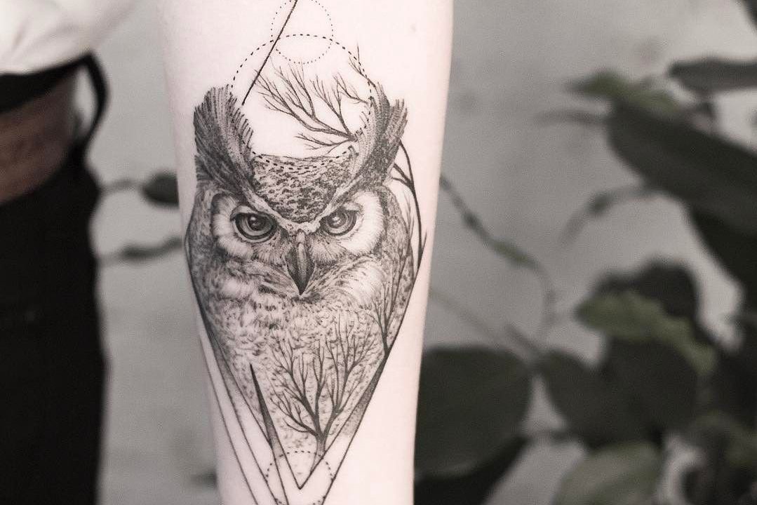 Tattoo Skizze Eule