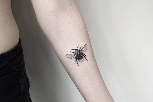 Tattoo Skizze Käfer