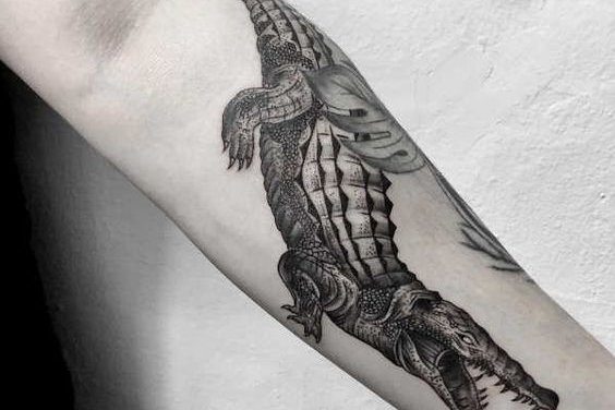 Tattoo Skizze Krokodil