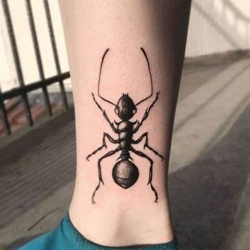 Tattoo-Skizzen “Ameise”