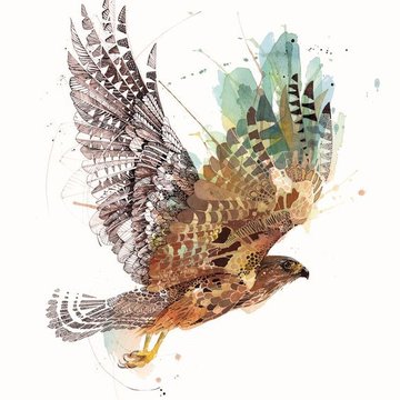 Tattoo-Skizze Falke