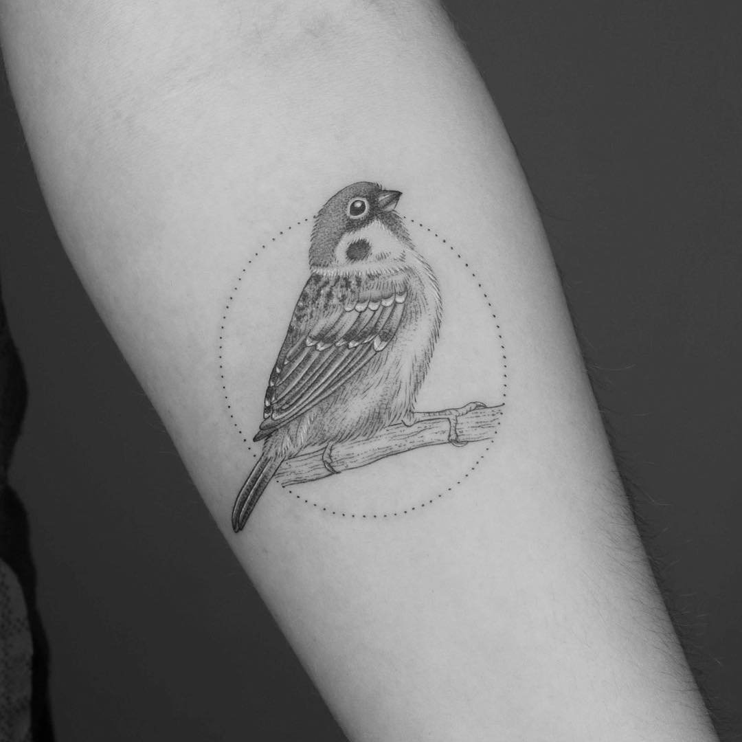 27+ Vögel Tattoo Bedeutung & Vorlagen & Für Männer und Frauen VeAn