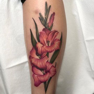 Tätowierungsskizzen Gladiolus