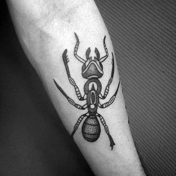 Tattoo-Skizzen “Ameise”