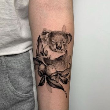 Koala Tattoo Skizze