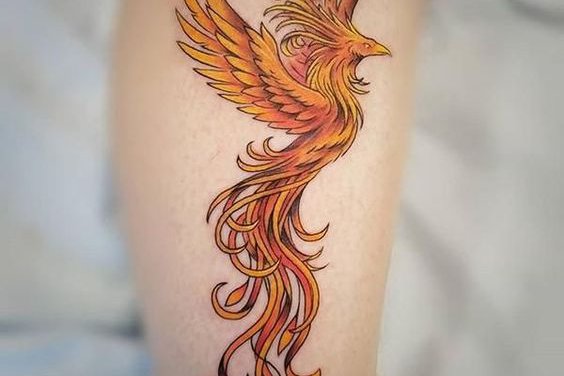 Tattoo Skizzen Feuervogel