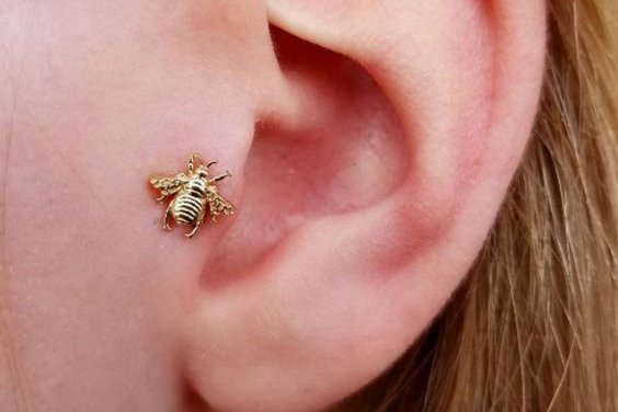 Tragus Piercing