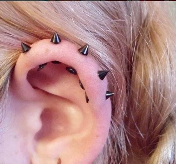 Ohrknorpel piercing Welches Ohr Piercing ist das schmerzhafteste VeAn Germany