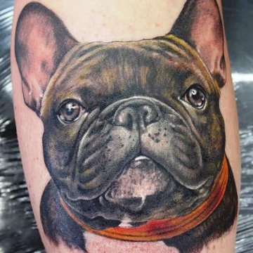 Tätowierungsskizzen Bulldog
