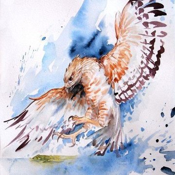 Tattoo-Skizze Falke