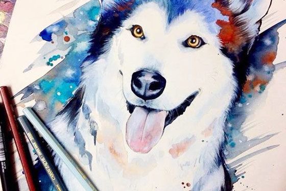 Tattoo-Skizzen "Husky"