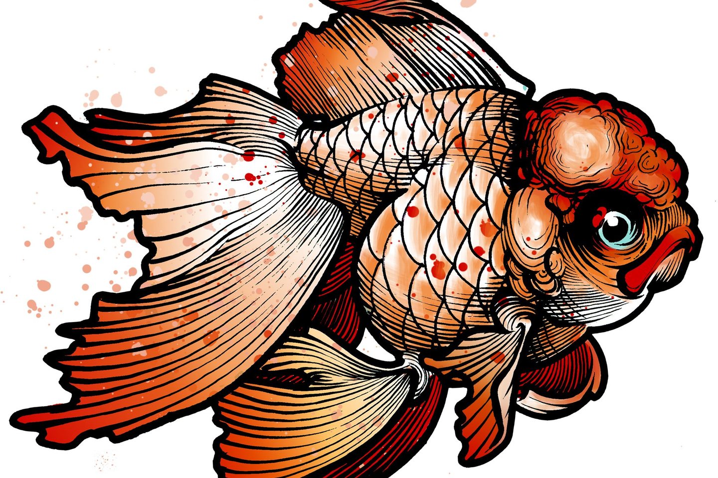 Tattoos Vorlagen vom Goldfisch