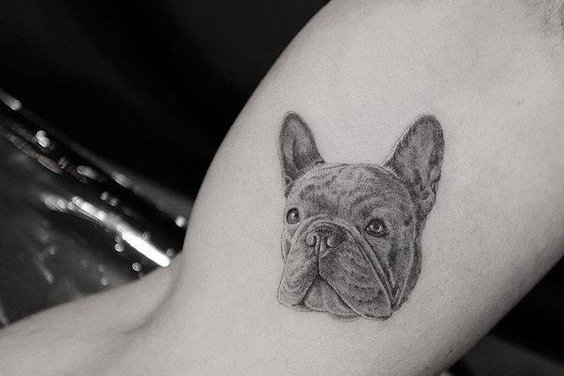 Tätowierungsskizzen Bulldog