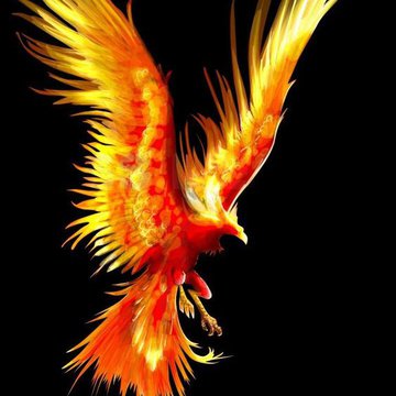 Tätowierungsskizzen Phoenix