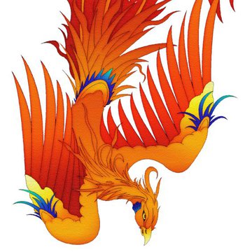 Tattoo Skizzen Feuervogel