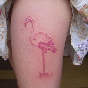 Tattoo-Skizzen Flamingo