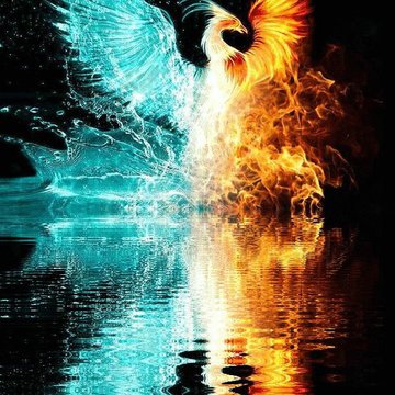 Tätowierungsskizzen Phoenix