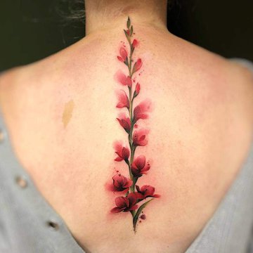 Tätowierungsskizzen Gladiolus