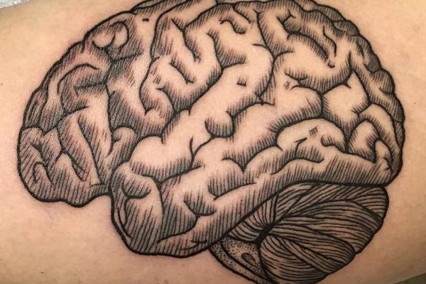 Tattoo-Skizze Gehirn
