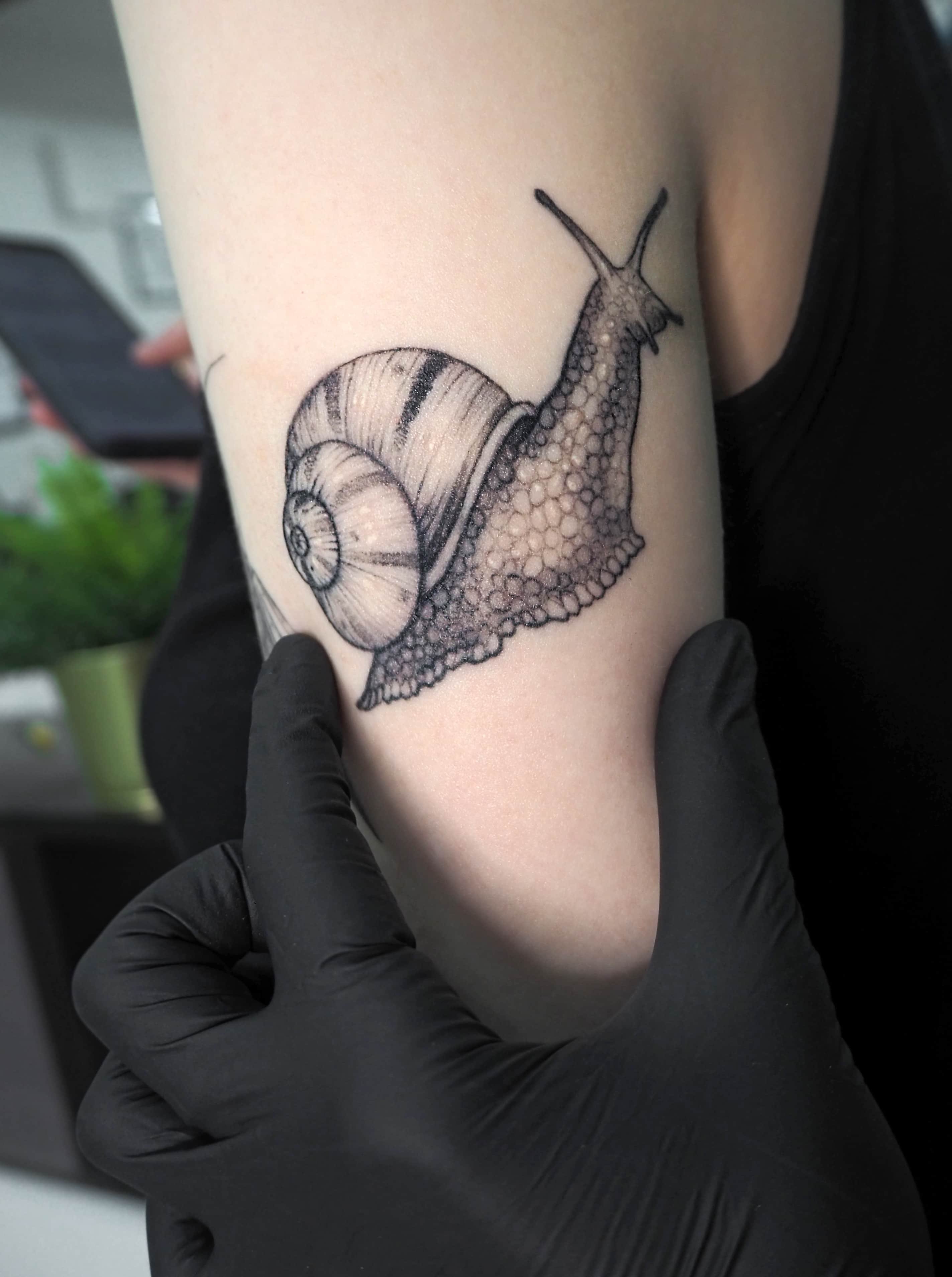 25+ Beste Schnecke Tattoo-Designs für Männer und Frauen: Bedeutung &  Vorlagen-Ideen - VeAn Germany