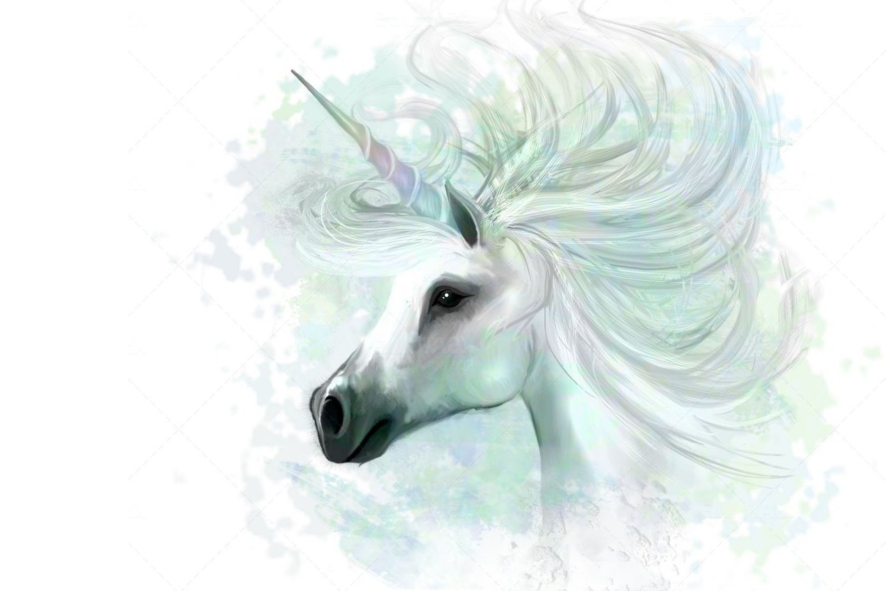 Tätowierungsskizzen Einhorn