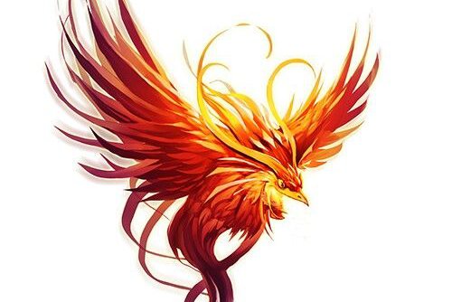 Tätowierungsskizzen Phoenix