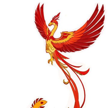 Tattoo Skizzen Feuervogel