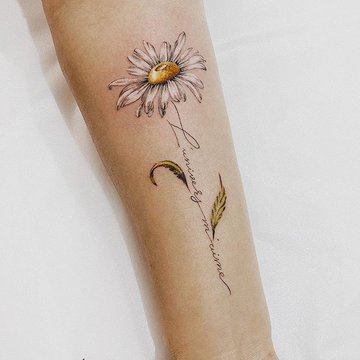 Tattoo Skizzen Kamille (Gänseblümchen)
