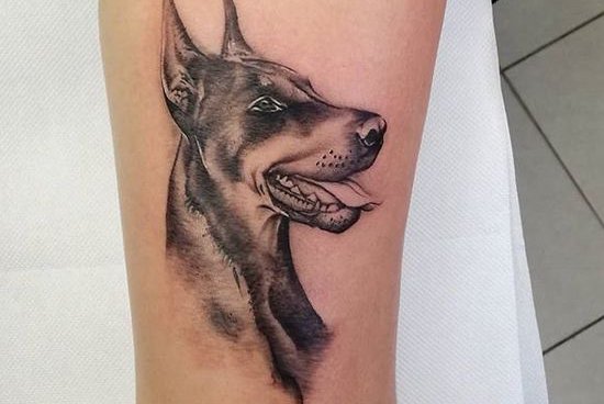 Tätowierungsskizzen Dobermann