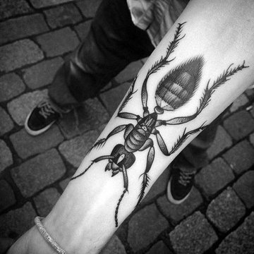 Tattoo-Skizzen “Ameise”