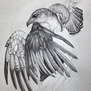 Tattoo-Skizze Falke