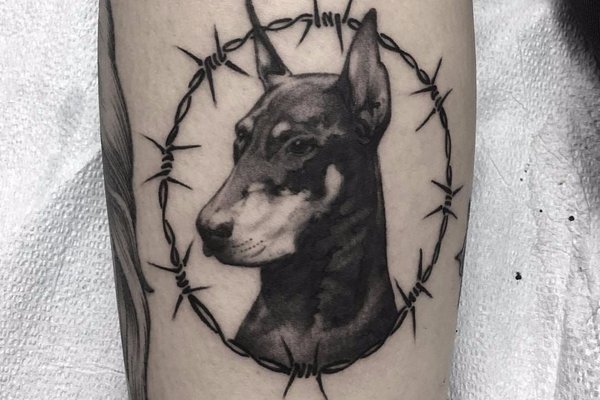 Tätowierungsskizzen Dobermann