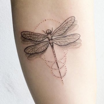 Tattoo Skizze Libelle