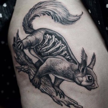 Tattoo-Skizze Eichhörnchen