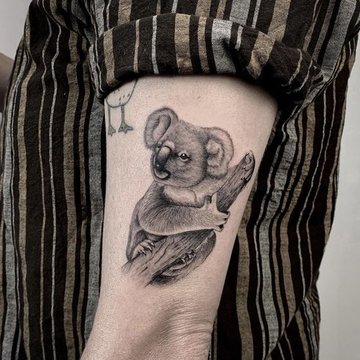 Koala Tattoo Skizze