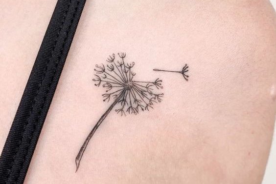 Tattoo-Skizzen Löwenzahn
