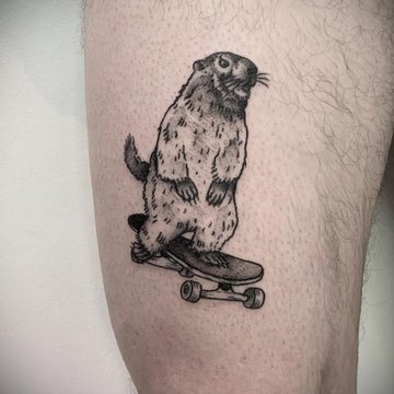 Skateboarding Biber