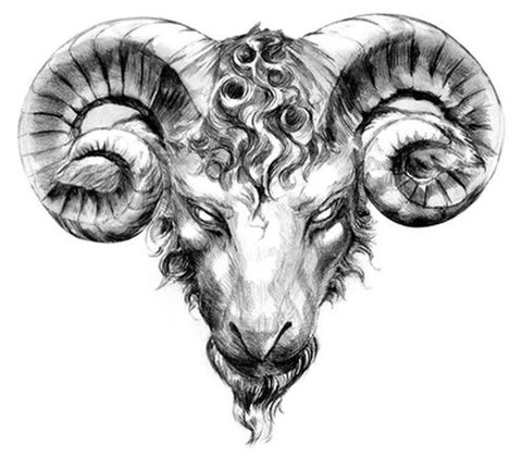 27+ Widder Tattoos für Männer und Frauen Bedeutung & VorlagenIdeen