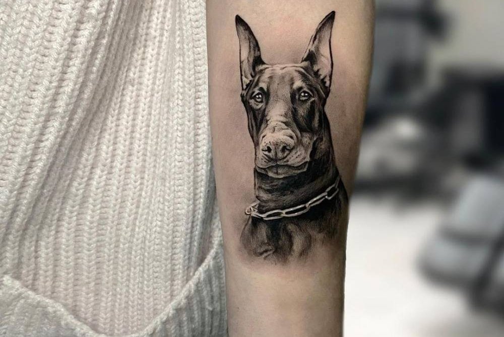 Tätowierungsskizzen Dobermann