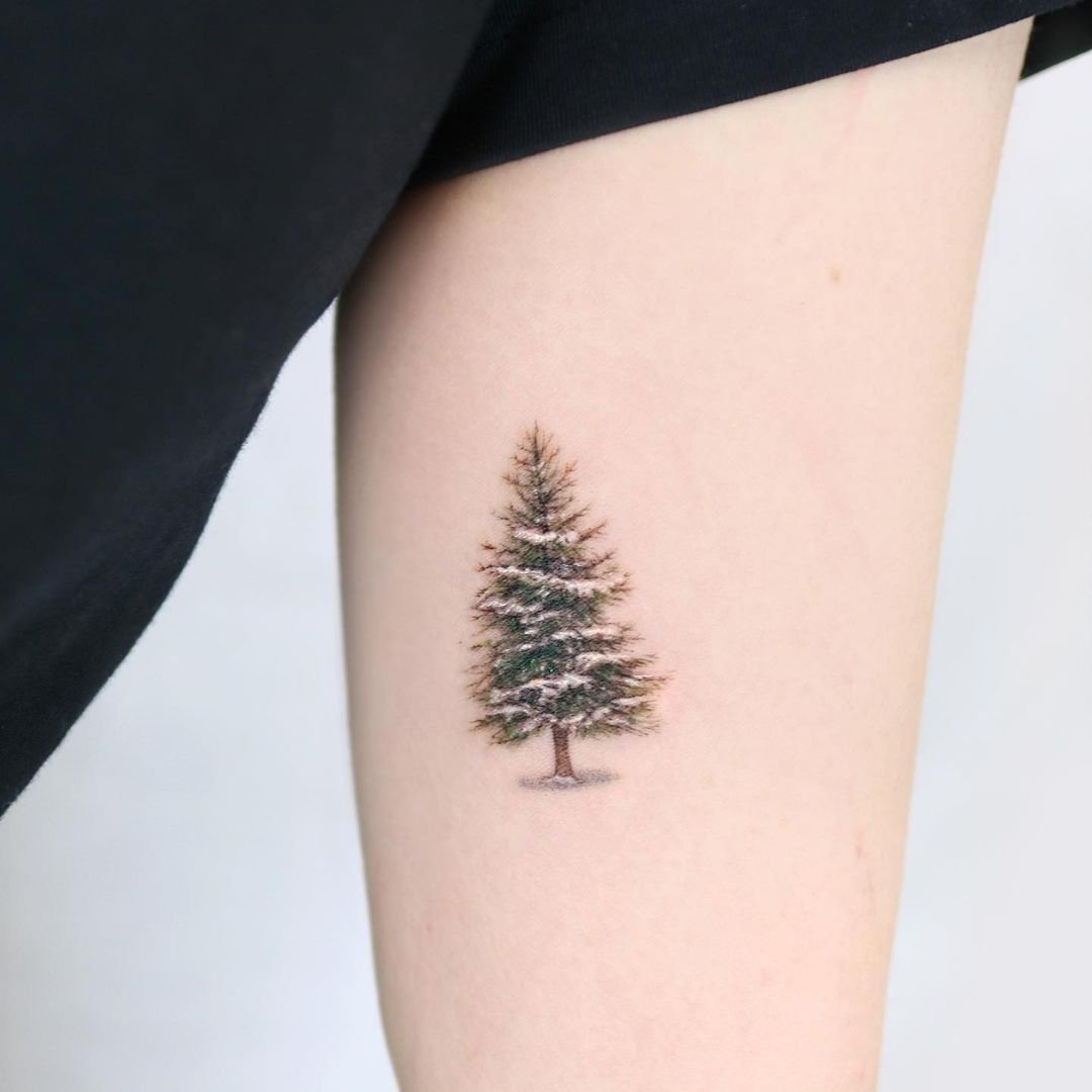 25+ Tannenbaum Tattoo-Ideen: Bedeutung & Vorlagen & Für Männer und Frauen -  VeAn Germany