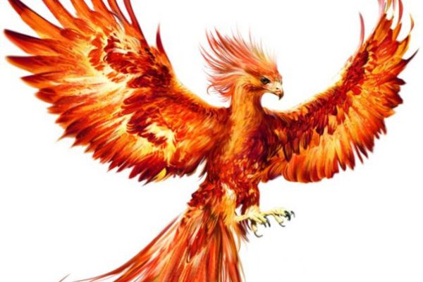 Tätowierungsskizzen Phoenix