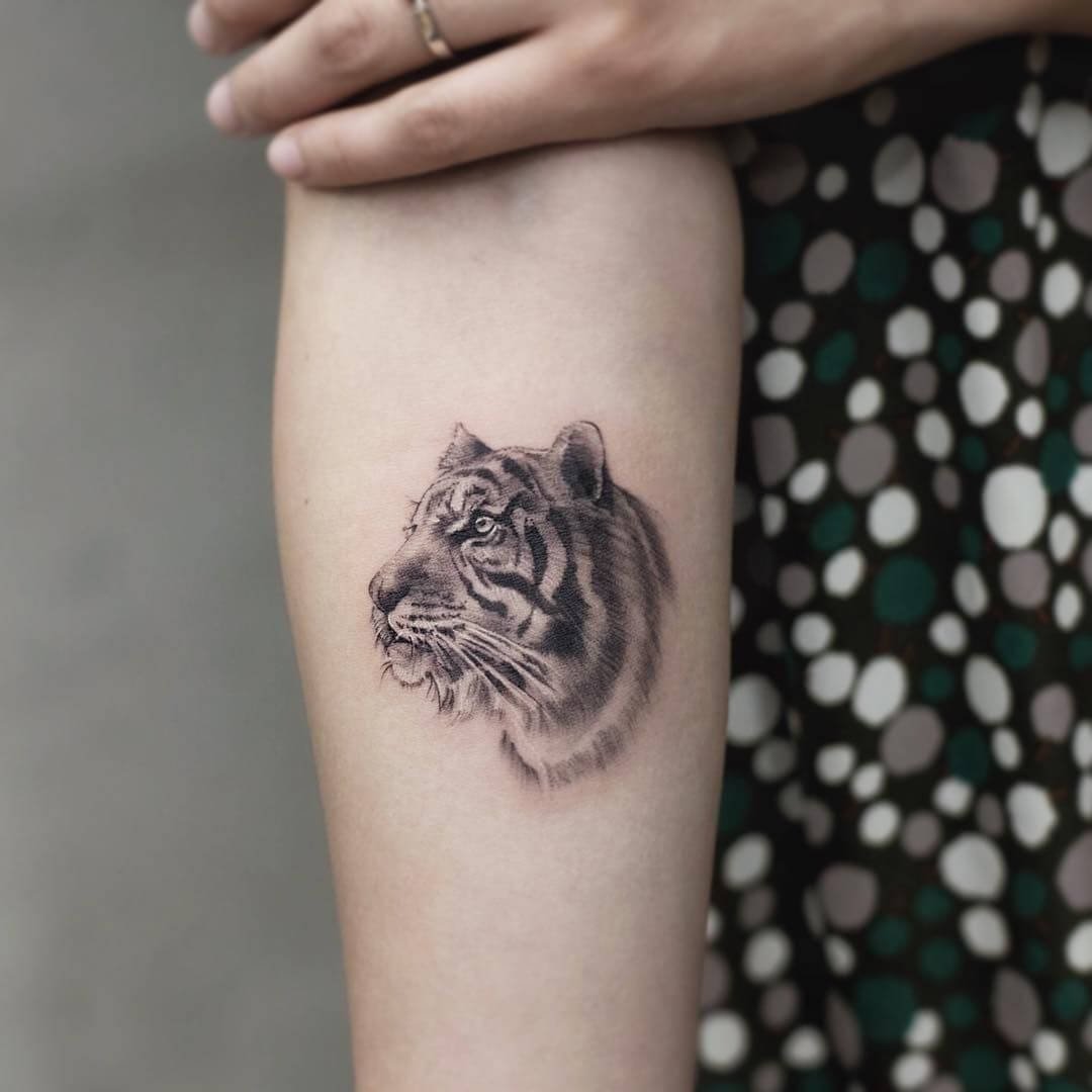 Tiger Tattoo Klein