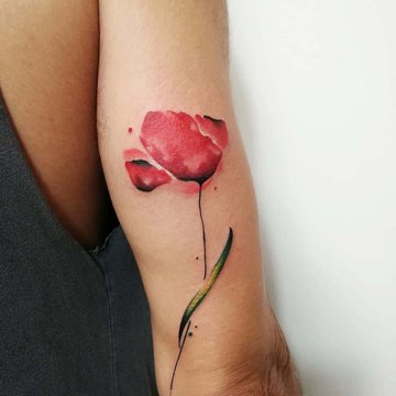Tattoo Skizze Mohnblume