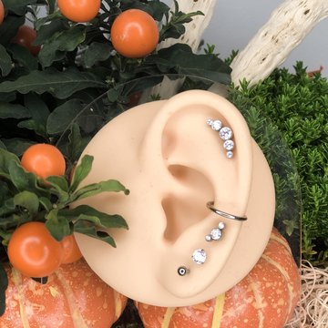 Piercing kurse in Leipzig